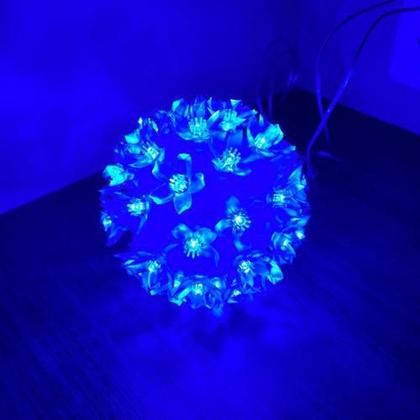 Imagem de Globo com 50 Lâmpadas Pisca Pisca - LED Flor