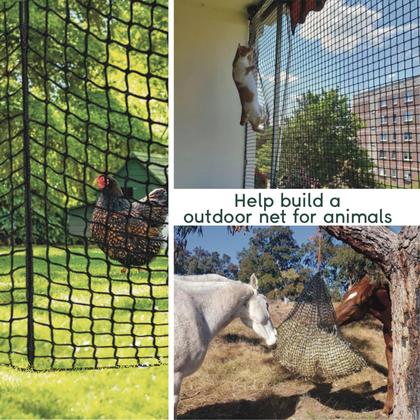 Imagem de Golf Practice Net Parslue Heavy Duty Nylon 15x20 pés para uso interno/externo