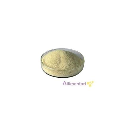 Imagem de Goma Guar 300g Alimentícia - Allimentari