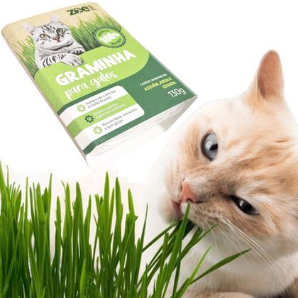 Imagem de Graminha Grama Para Gatos Comestível Auxilia na Digestão e Eliminação De Pelos Zoe Pet
