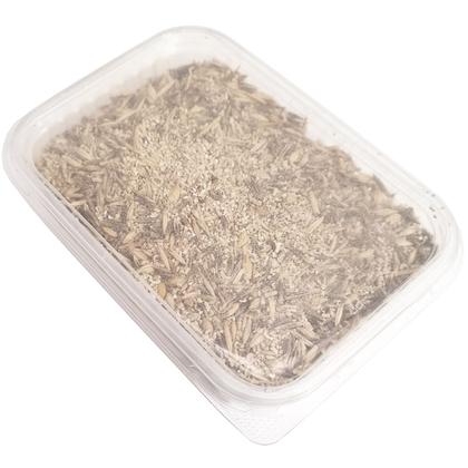 Imagem de Graminha Grama Para Gatos Comestível Auxilia na Digestão e Eliminação De Pelos Zoe Pet