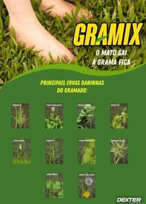 Imagem de Gramix 100mL Controla Tiririca Folha Larga Grama Esmeralda