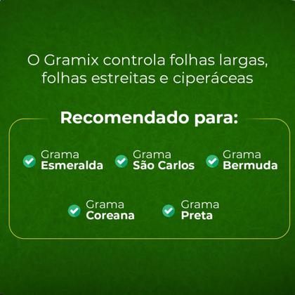 Imagem de Gramix Original 1 Litro