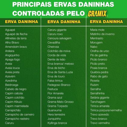 Imagem de Gramix Original para grama 1 Litro