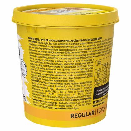 Imagem de Guanidina Salon Line Óleo Semente de Manga Alisa e Relaxa