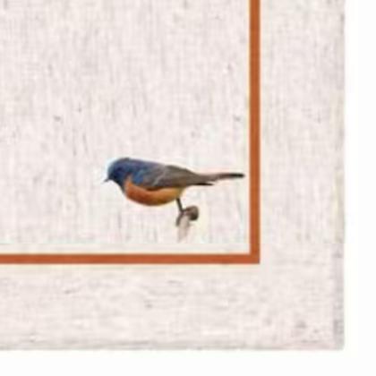 Imagem de Guardanapo De Mesa Linho Pássaro 45X45 Decortextil