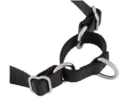 Imagem de Guia para Cachorro Preta e Cinza Tam. P PetSafe Easy Walk