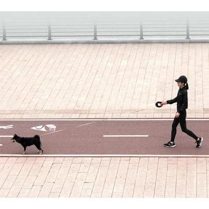 Imagem de Guia Retratil Com Botao Com Regulagem Para Caes e Gatos PRETO