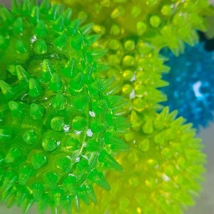 Imagem de Halteres Led Colorido Brinquedo C/apito Halteres Eloo Pet