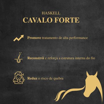 Imagem de Haskell Cavalo Forte Sh 300ml + Masc 300ml + Leave-in 150ml