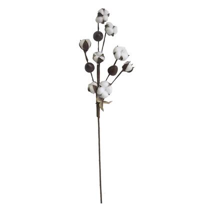 Imagem de Haste de Flor de Algodão Envelhecida  Flor Seca Formosinha