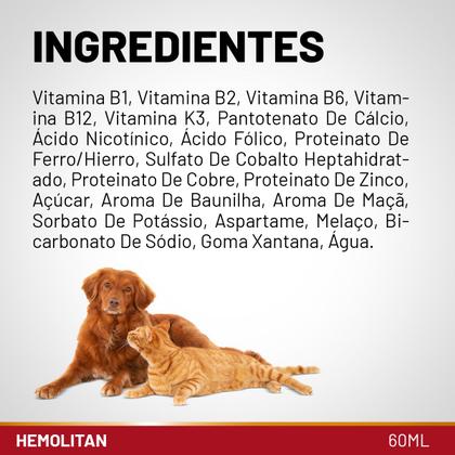 Imagem de Hemolitan Suplemento Vitamínico Pet P/ Todos Animais 60 Ml