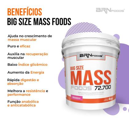 Imagem de Hipercalórico Big Size Mass 6kg - BRN Foods