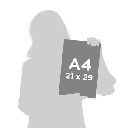 Imagem de Homenagem Melhor Mulher Mundo Quadro A4 Dia das Mães Presente