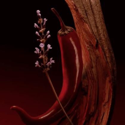 Imagem de Hugo Boss The Scent Elixir Edp - Perfume Masc 100Ml