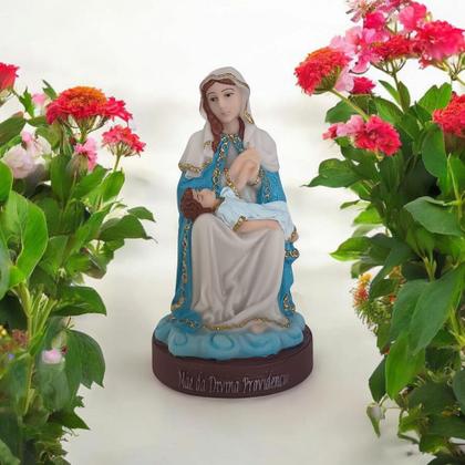 Imagem de Imagem de Nossa Senhora Mãe da Divina Providência 15cm em resina