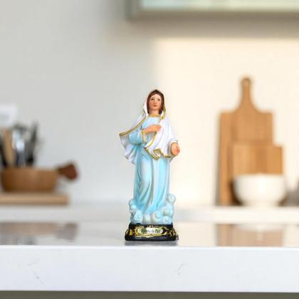 Imagem de Imagem Nossa Senhora Rainha da Paz Resina 13 cm