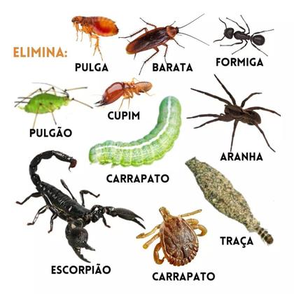 Imagem de Inseticida Kelldrin Sc25 30ml Formula Concentrada Mata Escorpião Barata Aranhas Traças Pulgas Carrapato Cupim Formiga