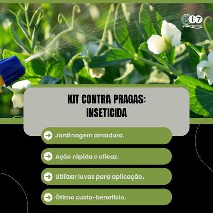 Imagem de Inseticida P/ Pragas Sementox Ts e Raid Isca Mata Barata 1un