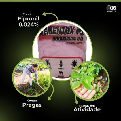 Imagem de Inseticida P/ Pragas Sementox Ts e Raid Isca Mata Barata 1un