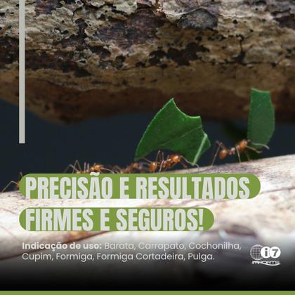 Imagem de Inseticida P/ Pragas Sementox Ts Raid Isca Mata Barata 2un