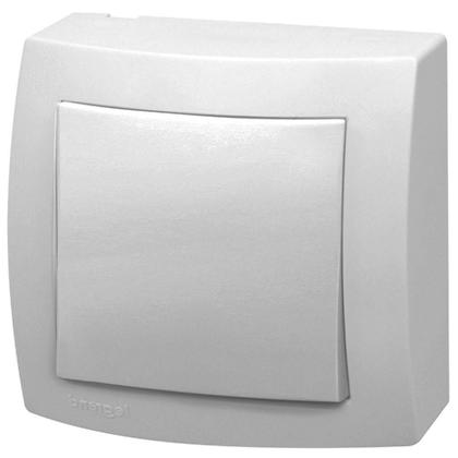 Imagem de Interruptor Simples Bipolar Sx 10A 250V Legrand