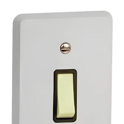 Imagem de Interruptor Simples Vertical 10a 250v 4x2 Cinza Silentoque