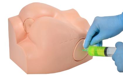 Imagem de Intramuscular no Glúteo e Sondagem Retal Simulador Médico
