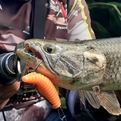 Imagem de Isca Artificial Soft Charutinho Maluco Cart. 3pçs