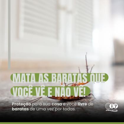 Imagem de Iscas Mata Barata Raid 2,6g Com 12 Unidades