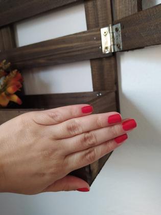 Imagem de Jardim vertical painel floreira parede suporte madeira plantas varias cores 60 x 74 cm