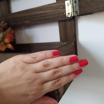 Imagem de Jardim vertical painel floreira parede suporte madeira plantas varias cores 60 x 74 cm