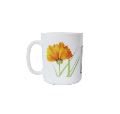 Imagem de Jogo com 6 pçs de caneca para chá e café com estampa floral de vidro 320ml