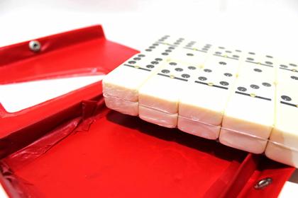 Imagem de JOGO DE Dominó Profissional De Osso Estojo Com 28 Peças