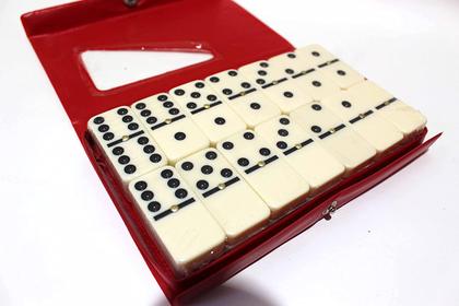 Imagem de JOGO DE Dominó Profissional De Osso Estojo Com 28 Peças