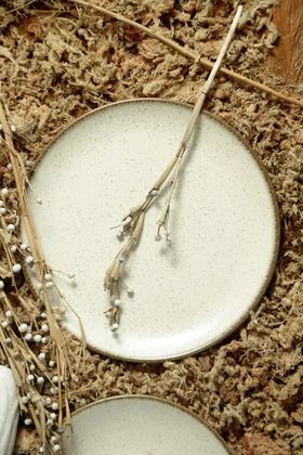 Imagem de Jogo De Prato Raso Coup Vanilla Alleanza Ceramica 6 Peças