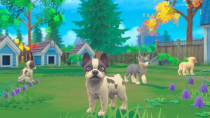 Imagem de Jogo de vídeo Maximum Games My Universe: Puppies and Kittens Nintendo Switch