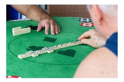 Imagem de Jogo Mini Dominó de Osso Com 28 Peças Profissional - Wellmix