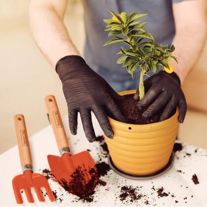 Imagem de Jogo Para Jardinagem Peças Metálicas 3 Peças - Tramontina
