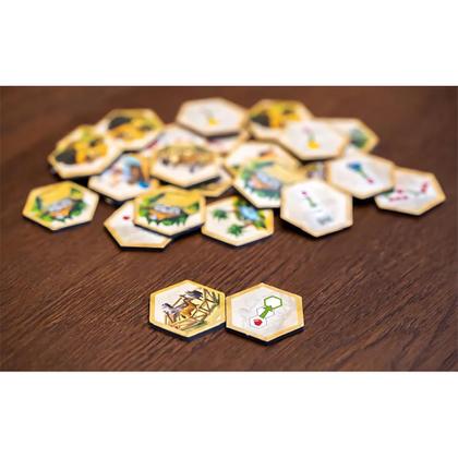 Imagem de Jogo tabuleiro devir - kingdom builder