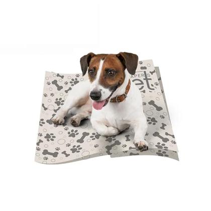 Imagem de Jornal Higienico Limpo 1KG P/ Pet Extra Gigante Folhas 84x58