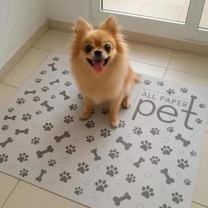 Imagem de Jornal Higienico Limpo 1KG P/ Pet Extra Gigante Folhas 84x58
