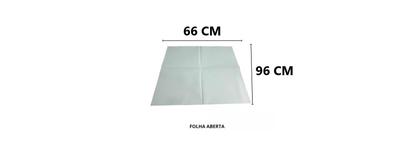 Imagem de Jornal Higienico Limpo 1KG P/ Pet Urinar Folha Gigante 66x96