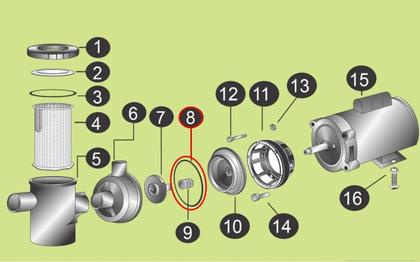 Imagem de Junta Borracha Vedacao (bracket) Bomba Piscina Hidrasul