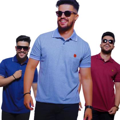 Imagem de Kit 02 Camisetas Gola Polo Masculina 100% Algodão