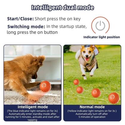 Imagem de Kit 02 Gato Bola Brinquedo Elétrico Automático Rotação USB Recarga Brinquedos Interativos AZUL