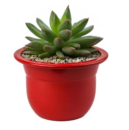 Imagem de Kit 03 unidades De vasinhos Estilo Bojudos