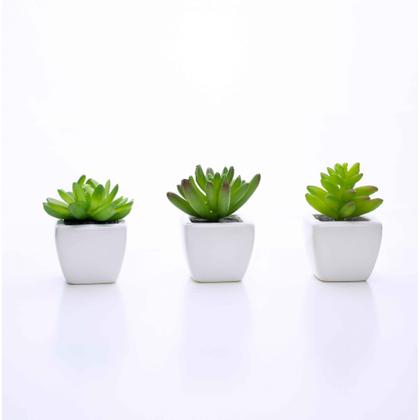 Imagem de Kit 06 Suculentas Artificial Sortida Vaso Branco 8x4cm F04 - D'Rossi