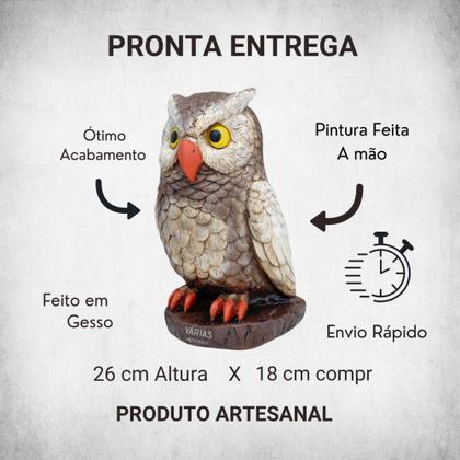 Imagem de Kit 1 Gavião 2 Corujas Espanta Pombo E Passarinhos Decoração - Várias Variedades