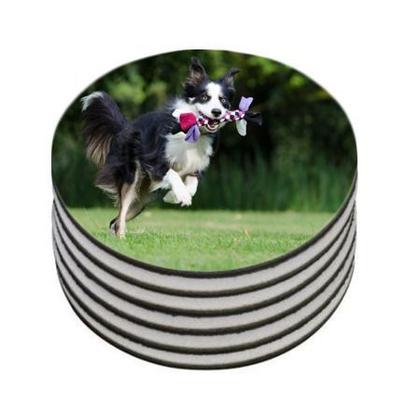 Imagem de Kit 10 Apoio para Copos Personalizado com o Cãozinho Presente Redondo